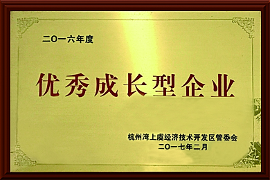 2016年度优秀成长型企业